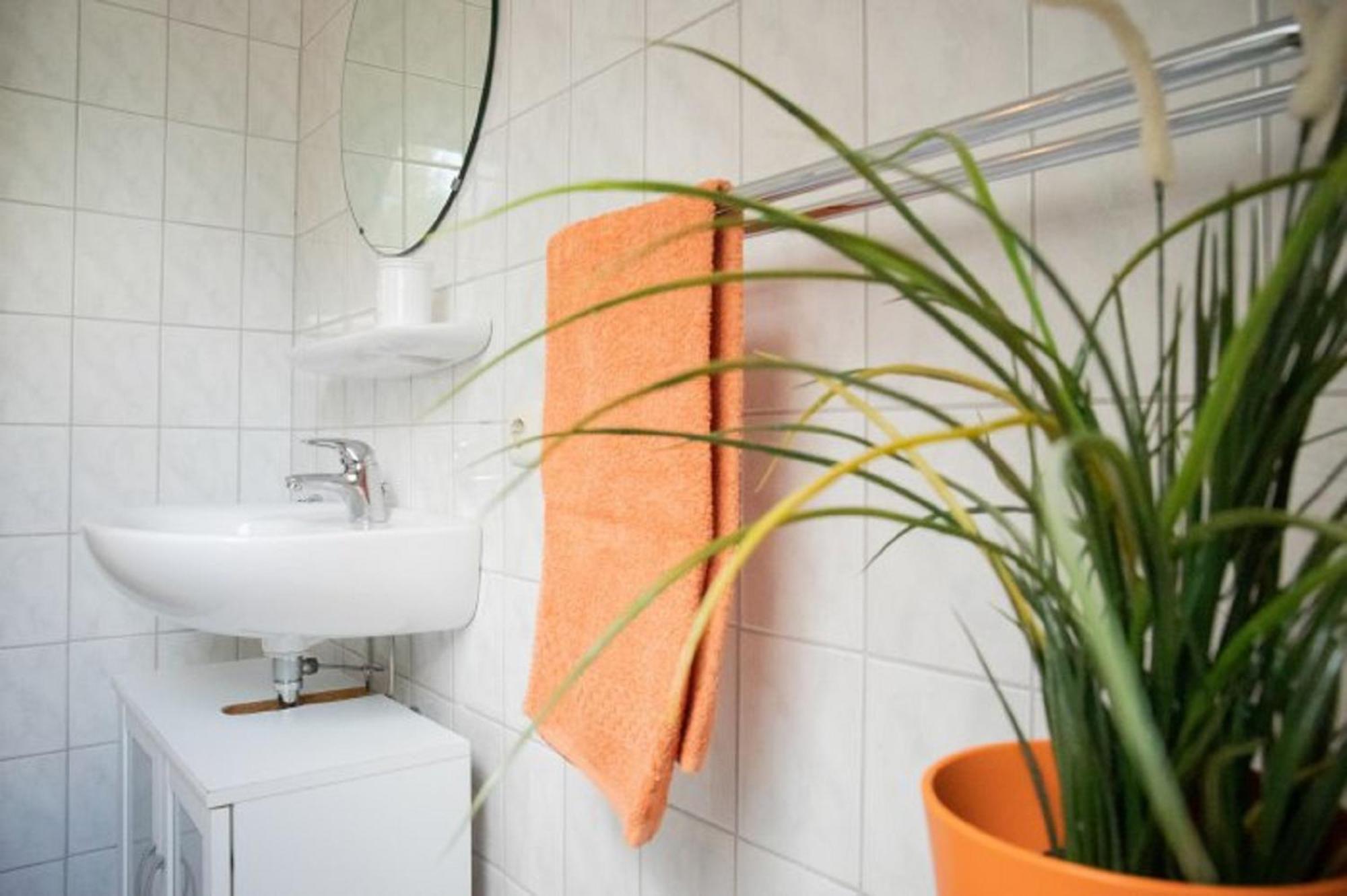 Ferienwohnung Ekenhoff Moorweg Exterior foto